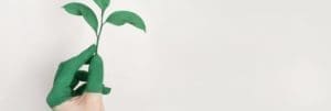 How to Make Your HOA Green