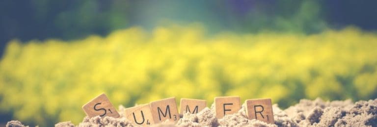 pexels-photo-1209611-1170x395