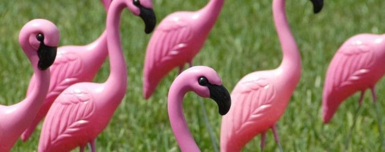 pros-and-cons-of-a-hoa