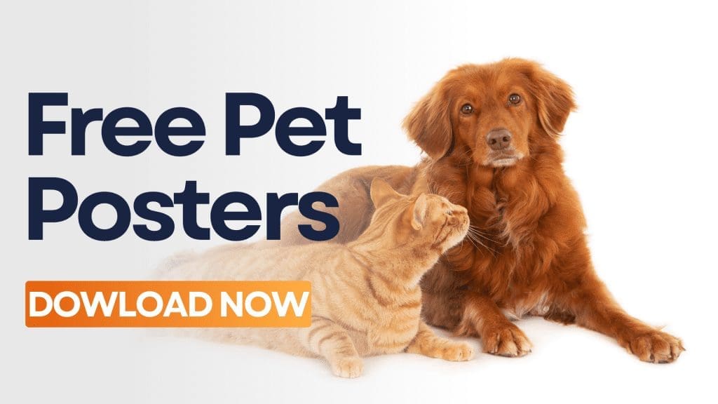 Pet Posters Banner