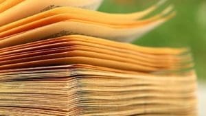 How To Organize Your HOA Document Storage Easily