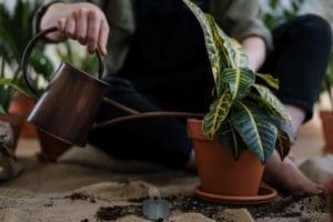 Creating a Community Garden in Your HOA
