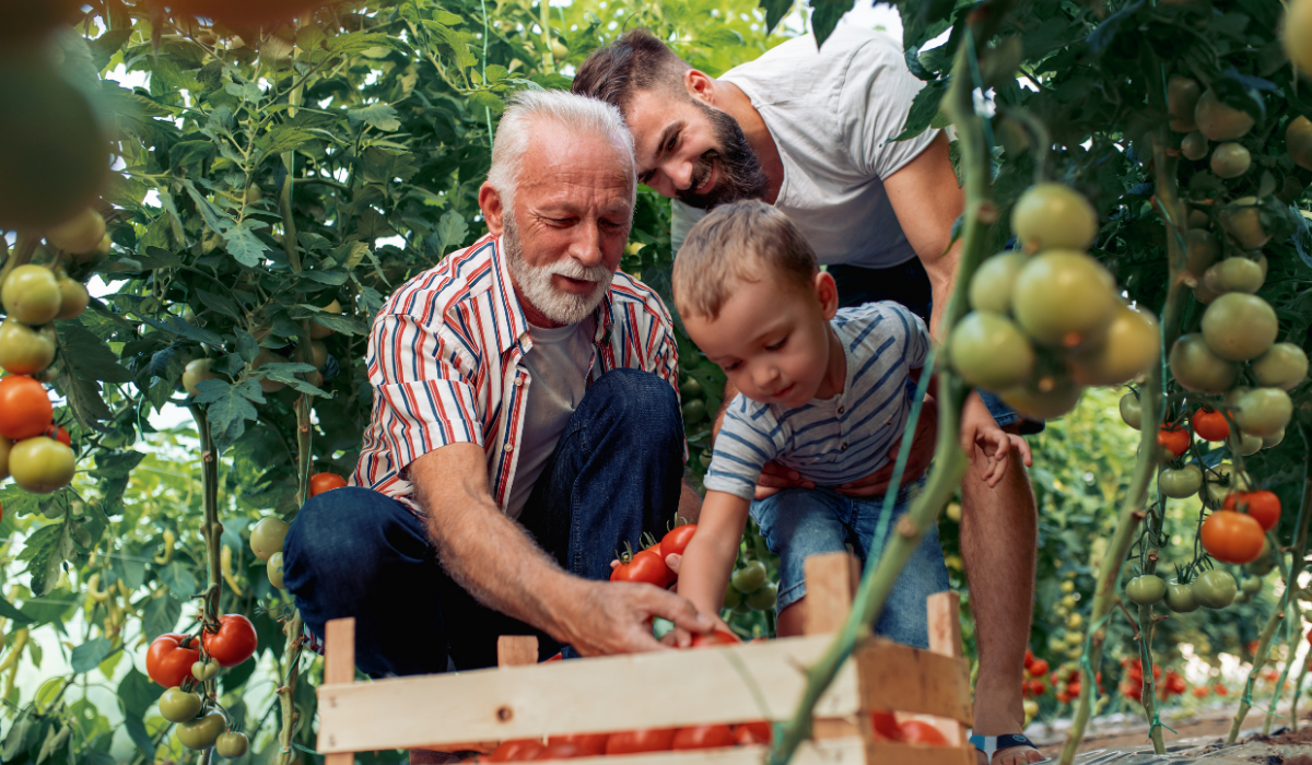 Manage Your Community Amenities Effortlessly In 2021 2 Community Garden