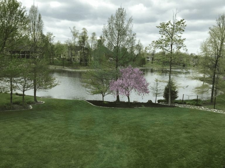 Wolf Lake HOA - Imags of the lake and trees