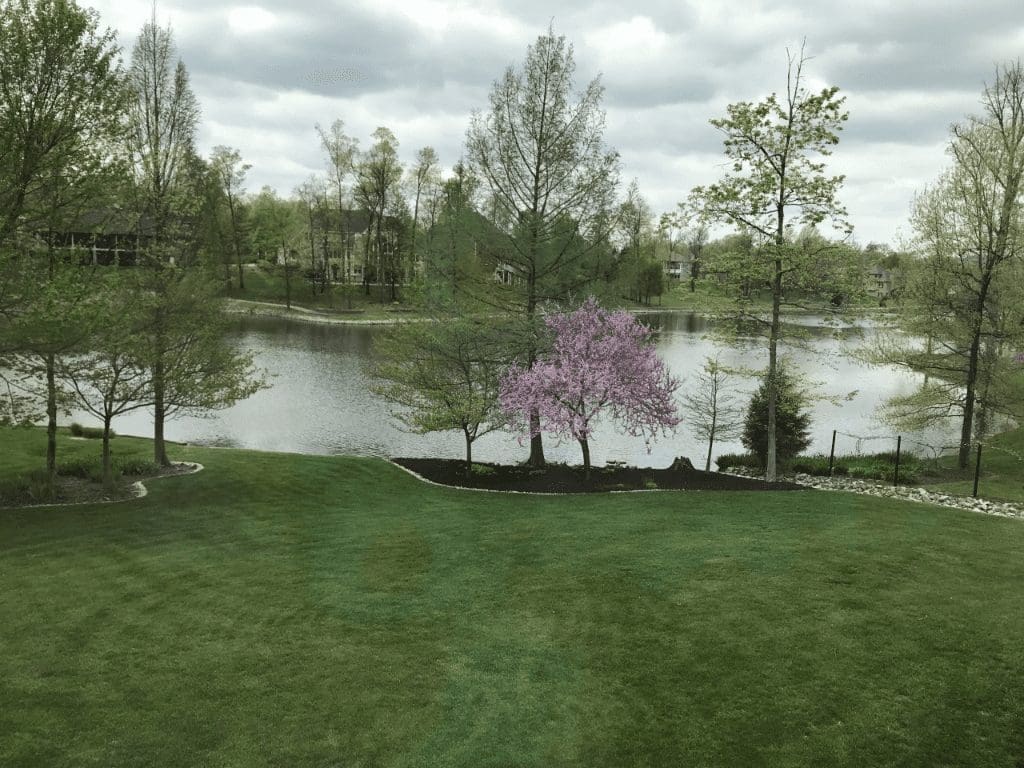 Wolf Lake HOA - Imags of the lake and trees