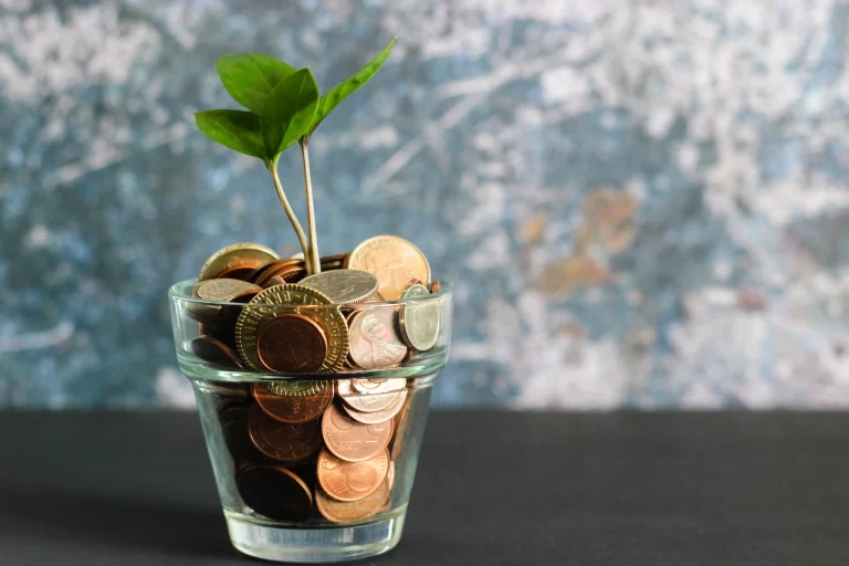 pot filled with coins, symbolizing the financial investment required for home inspection startup costs, with a small plant growing, representing the potential growth and success of the business