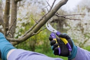 A Practical Walk-Through About Spring Maintenance Planning for Boards and Property Managers