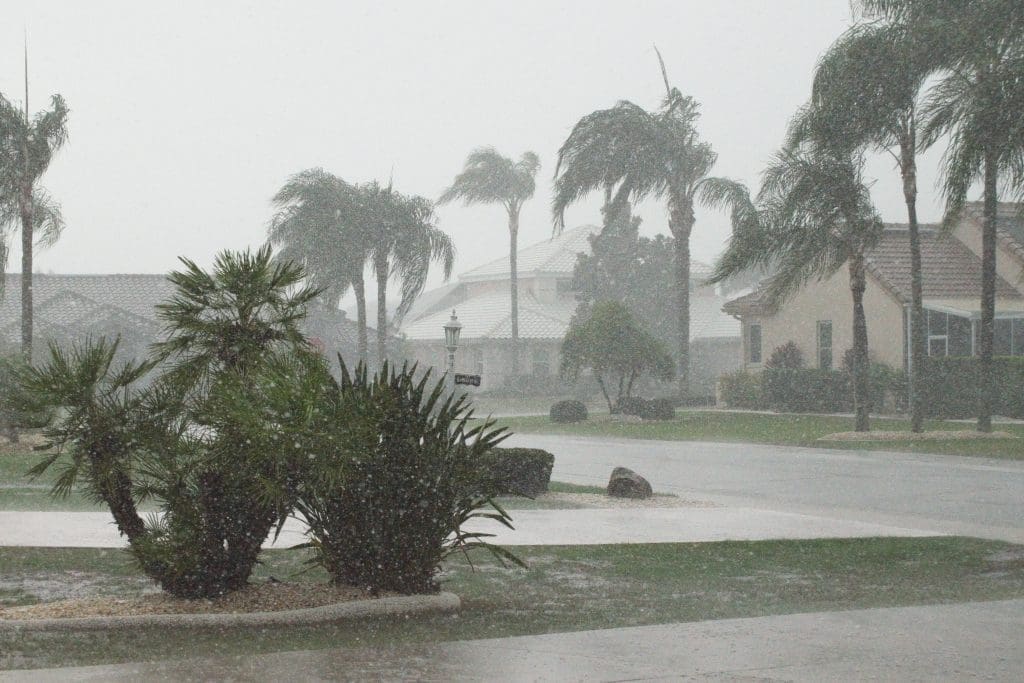 Hurricane Season