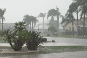 Hurricane Season