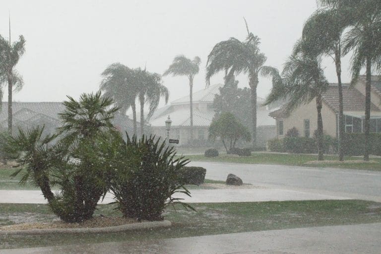 Hurricane Season